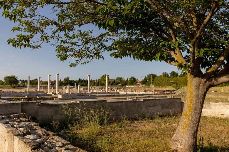 Ancient Pella Tour: In the Footsteps of Alexander - Final Thoughts