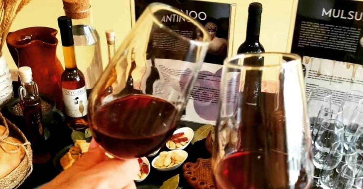 Ancient Rome Gastronomic Experience - Wine Tasting - Booking and Customer Feedback