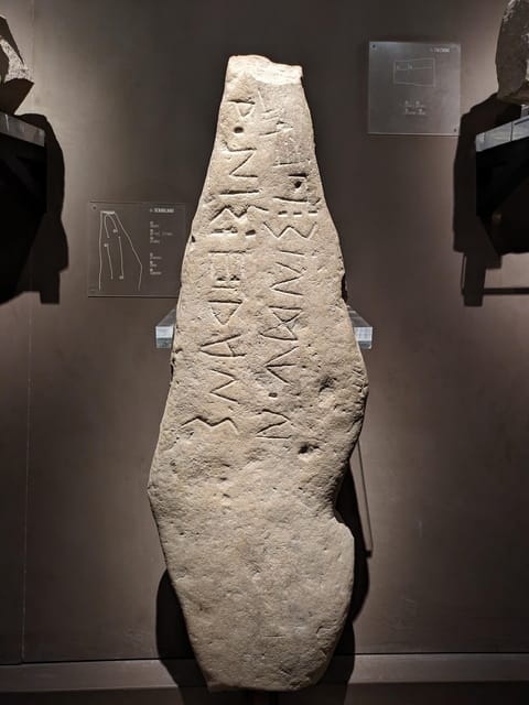 Ancona: National Archaeological Museum Private Guided Tour - Key Points / Takeaways