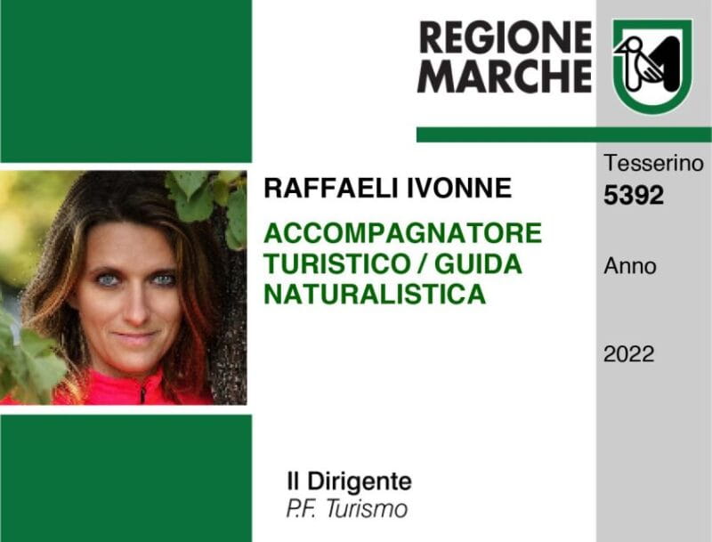 Ancona Riviera del Conero: Hiking Tour - Key points / Takeaways