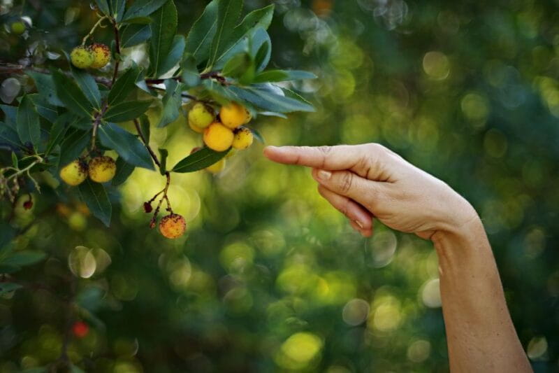 Ancona Riviera del Conero: Hiking Tour - Discovering Sirolo & the Conero Natural Reserve