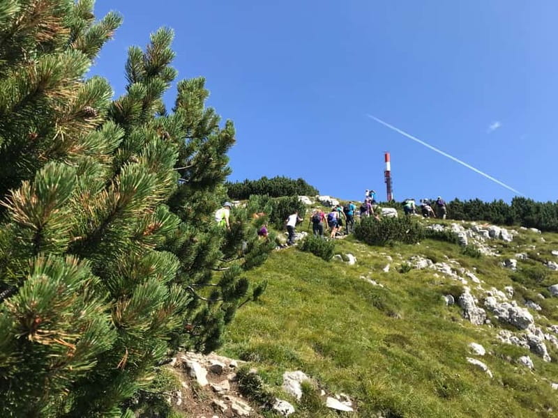 Andalo: Trekking Tour to Canfedin Peak - Why This Trekking Tour Stands Out in Andalo