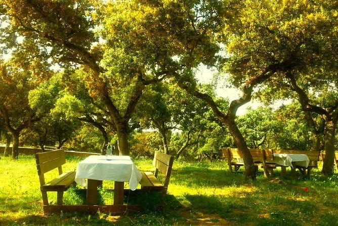 Andalucia Bull and Horse Farm and Ronda Private Tour from Malaga - Entering the World of Andalucia’s Farms and Ronda’s Cliffs