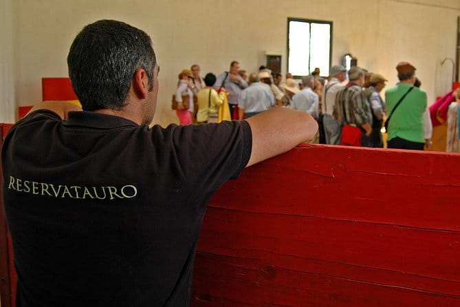 Andalucia Bull and Horse Farm and Ronda Private Tour from Malaga - Logistics and Practical Tips