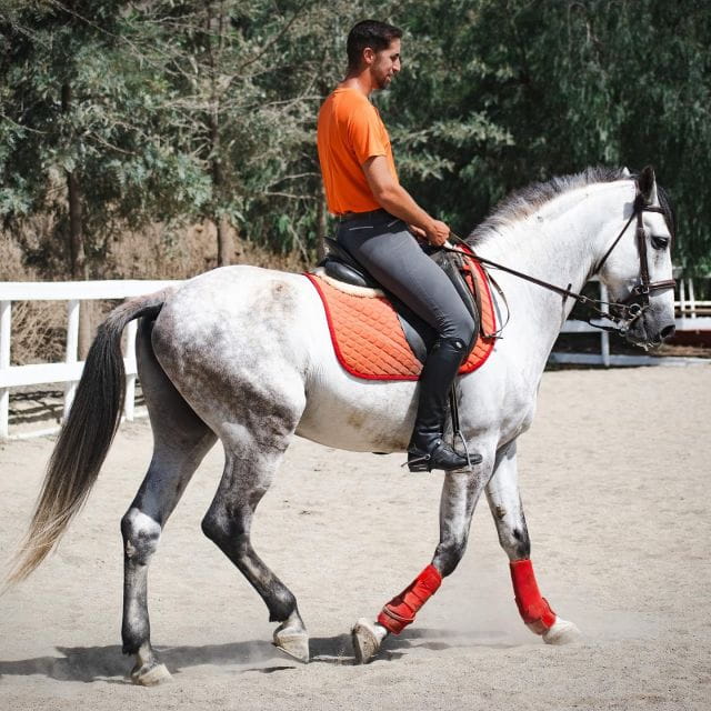 Andalucia: Horse Riding Tour With Picnic - Inclusions