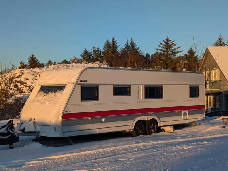 Andøy: Puffin Safari with Muffin and Hot Drink - Who This Experience Is Best For