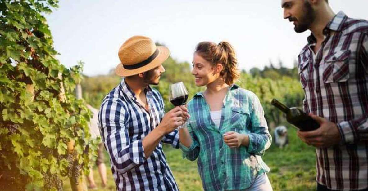 Andros Wine Tasting & Pythara Waterfalls Half-Day Tour - Key Points