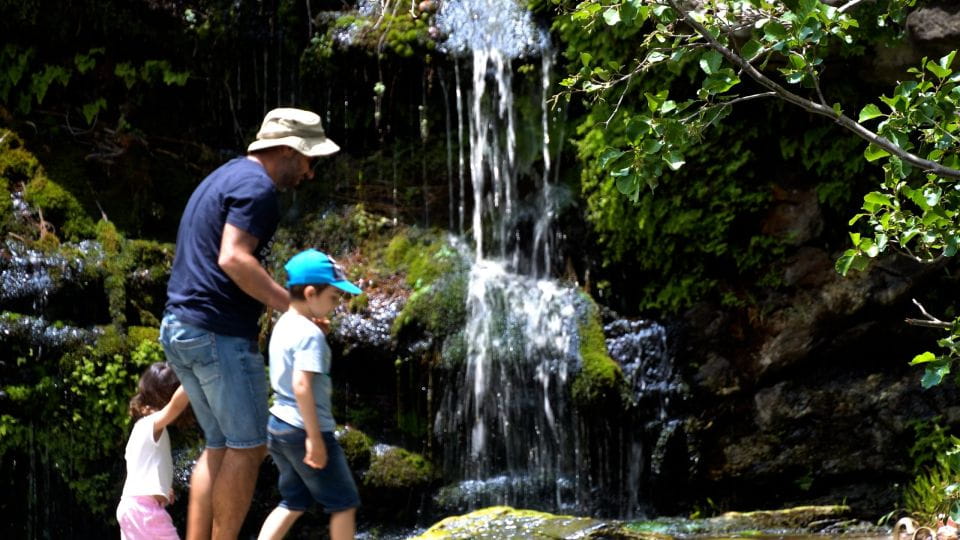 Andros Wine Tasting & Pythara Waterfalls Half-Day Tour - Itinerary Highlights