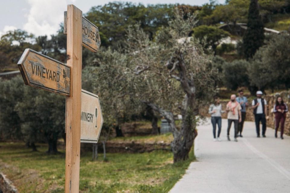 Andros Wine Tasting & Pythara Waterfalls Half-Day Tour - Pythara Waterfalls Hike