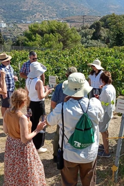 Andros Wine Tasting & Pythara Waterfalls Half-Day Tour - Kourtesis Winery Estate