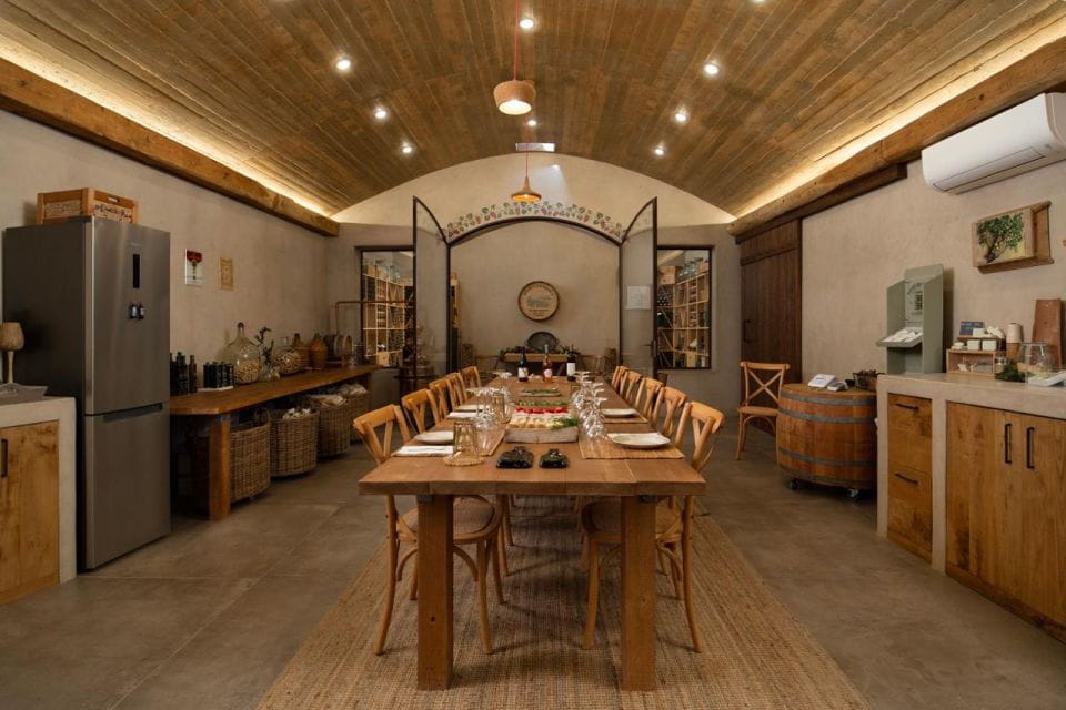 Andros Wine Tasting & Pythara Waterfalls Half-Day Tour - Inclusions and Extras