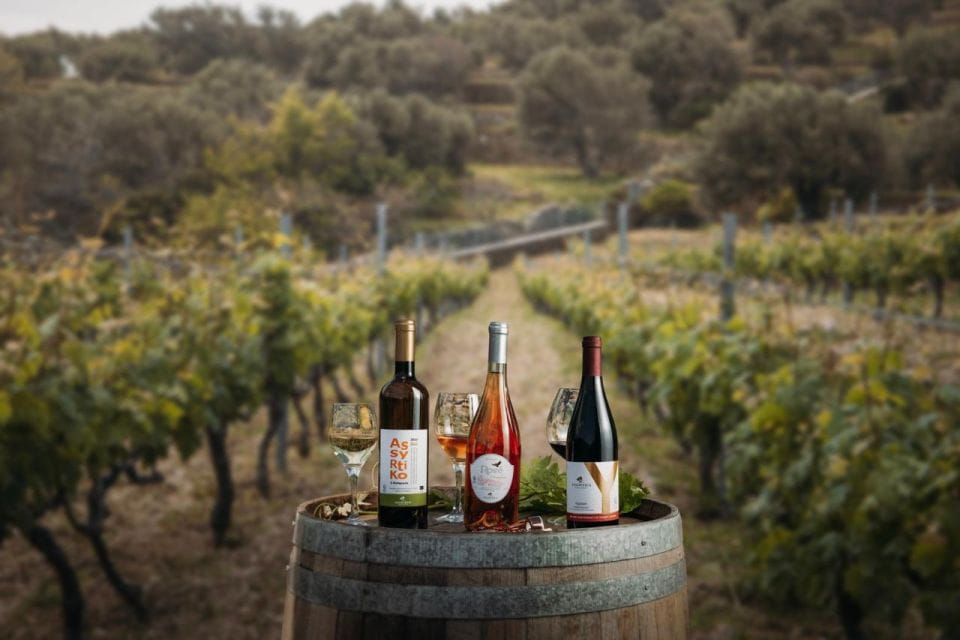 Andros Wine Tasting & Pythara Waterfalls Half-Day Tour - Customer Feedback