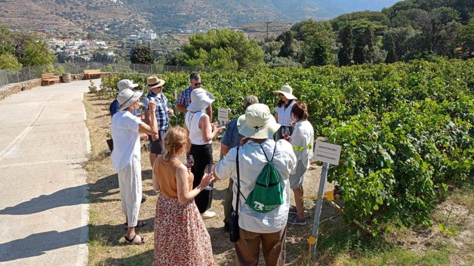 Andros Wine Tasting & Pythara Waterfalls Half-Day Tour - Frequently Asked Questions