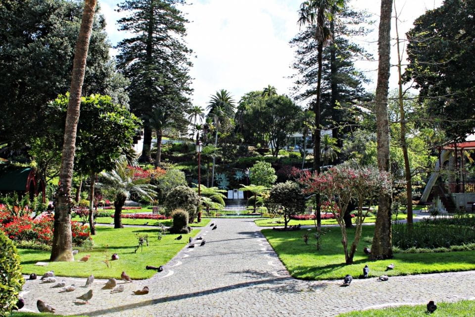 Angra Do Heroísmo: Walking Tour With Local Pastry and Coffee - Experience and Accessibility