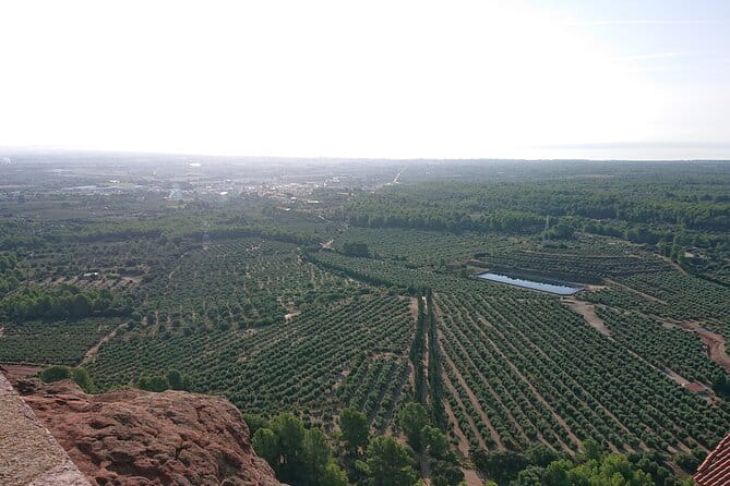 Animal farm park with free hotel pickup - Discovering Tarragona’s Animal Farm Park: An Authentic Family Day Out