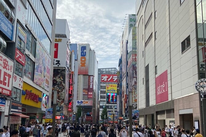 Anime, Manga, Game & Maid Cafe Tour in Akihabara - Accessibility and Participation Information