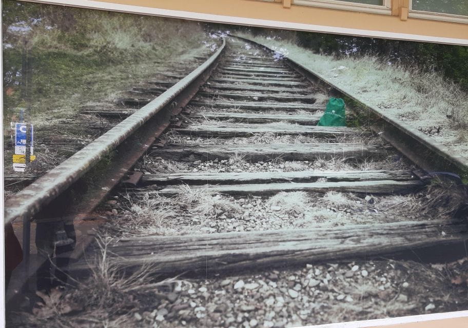 Anne Frank Story & Private 2-Hour Neighborhood Tour - Customer Feedback