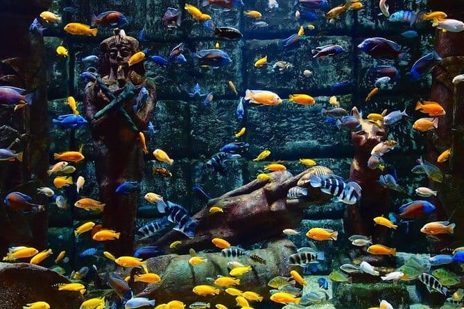 Antalya Aquarium and Face to Face Wax Museum Ticket - FAQ