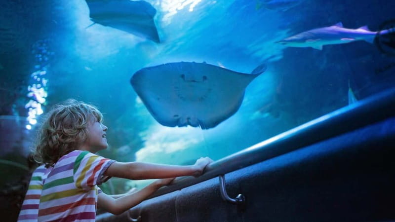Antalya: Aquarium, Wax Museum, Snow World, Wild Park - The Full Experience: A Detailed Look at Antalya Aquarium and Beyond