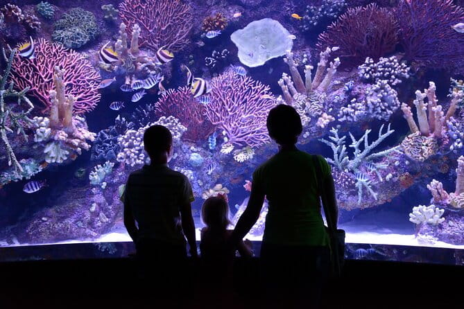 Antalya Aquarium, Wax Museum, Snow World, Wild Park, XD Cinema - Who Would Enjoy This Experience?