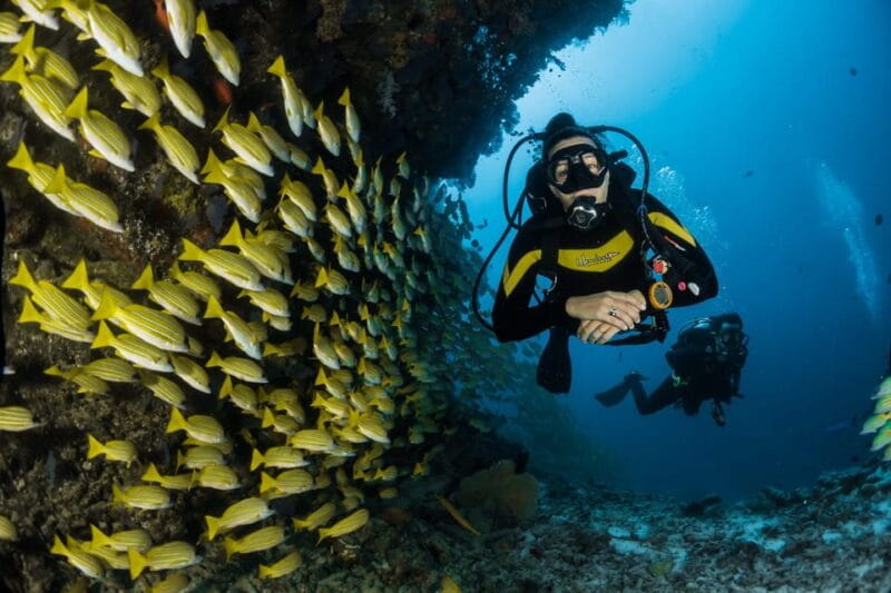 Antalya/ Belek Scuba Diving Tour With 2 Time Dive & Lunch - Why the Antalya/Belek Scuba Tour Is Worth Considering