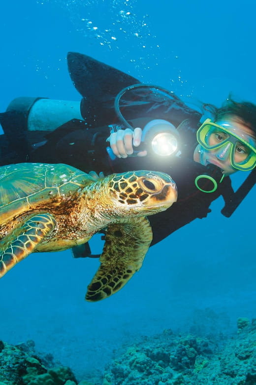 Antalya/ Belek Scuba Diving Tour With 2 Time Dive & Lunch - Who Should Consider This Tour?