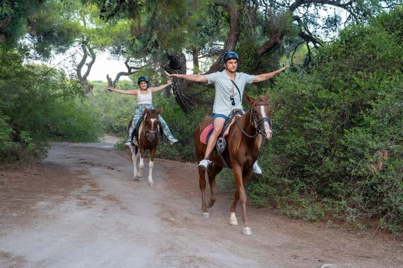 Antalya: Deniz Molal At Safarisi - Key Points & Takeaways