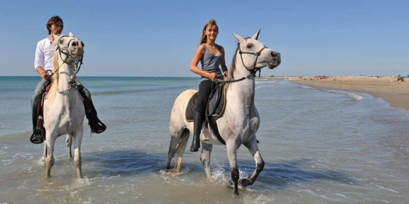 Antalya: Guided ATV and Horse Riding Safari in Lara - FAQ