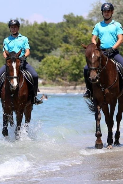 Antalya Horse Safari - Who Should Consider This Tour?
