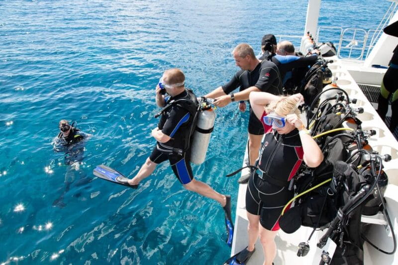 Antalya/ Kemer/ Belek Scuba Diving With Lunch & Transfer - A Practical Look at Scuba Diving in Antalya: What You Need to Know