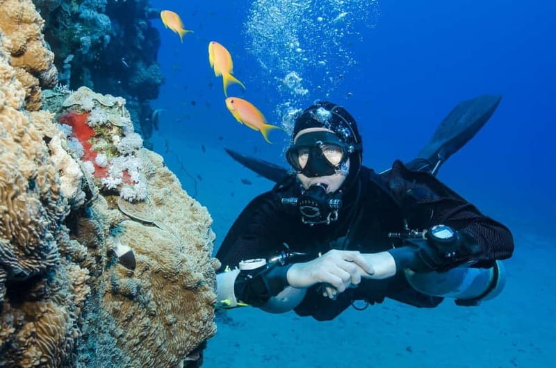 Antalya/Kemer: Scuba Diving Experience with 2 Dives & Lunch - Starting Point: Convenience and Comfort of Pickup or Meeting