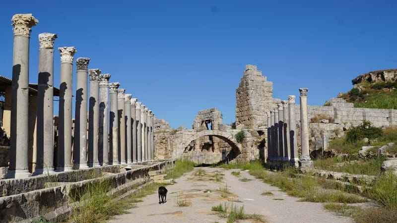 Antalya: Perge Ancient City Tour - Key Points / Takeaways