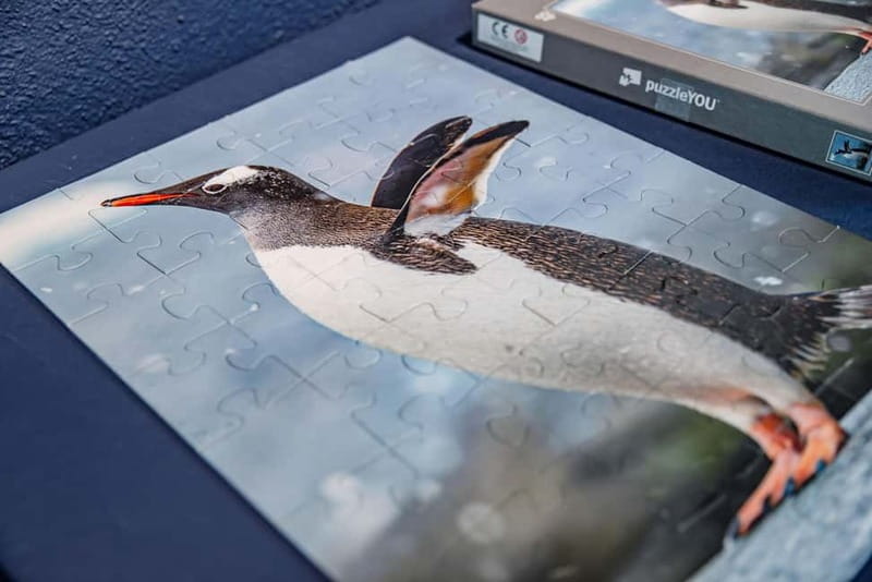 Antarctica Interactive Experience - Price and Logistics: Good Value for the Curious