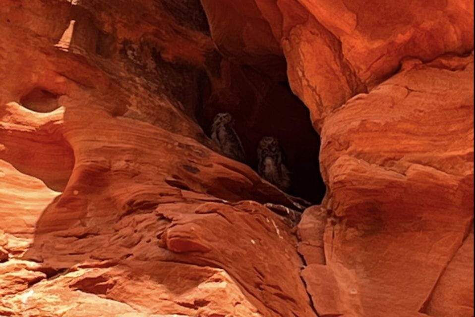 Antelope Canyon: Owl Canyon Guided Hiking Tour - Key Points
