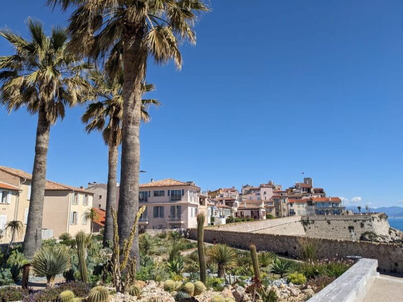 Antibes: 2 hour walking tour in the old town - Who Will Love This Tour?