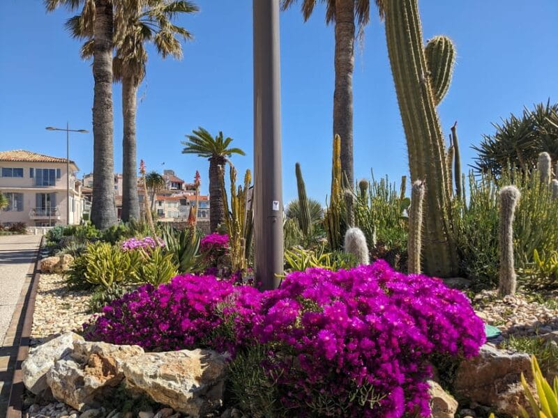 Antibes: 2 hour walking tour in the old town - FAQ