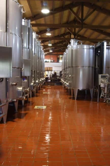 Antica Masseria Venditti: guided visit to the winery with wine tasting - Key Points / Takeaways: