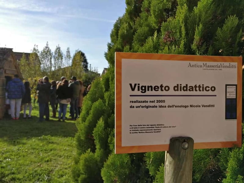 Antica Masseria Venditti: guided visit to the winery with wine tasting - Who Is This Tour Best For?