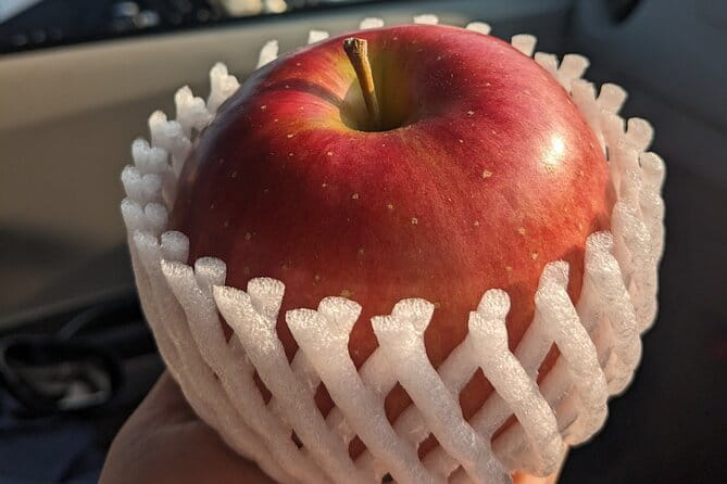 Aomori Highlights Private Full Day Tour - Convenient Pickup and Transportation