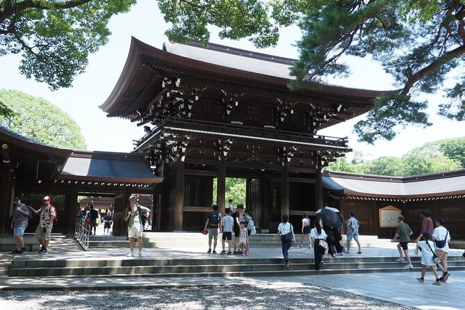 Aoyama Art Museum Tour From Tokyo - Expectations and Conditions