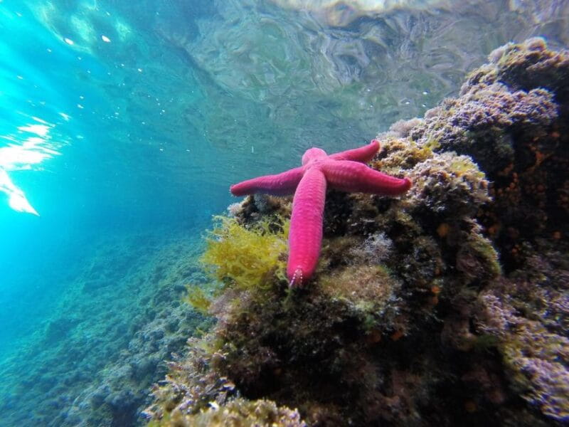 Aperitivo on the boat during sunset time in Palinuro - Key Points / Takeaways