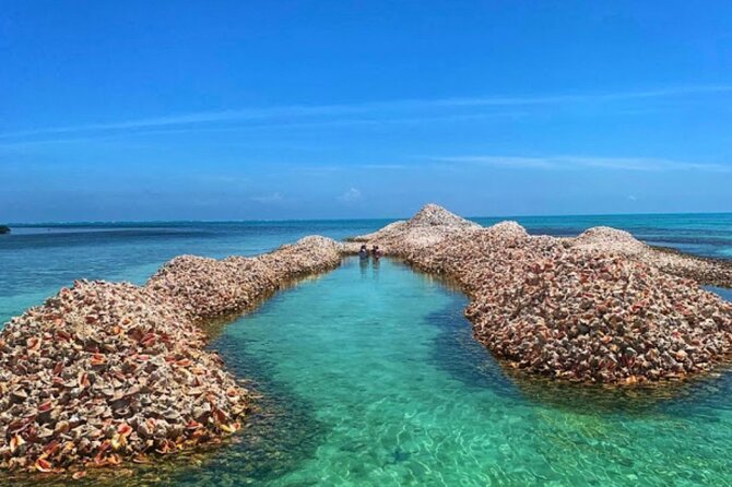 Apotheoseas BVI Boat Charter 38ft, Full Day / Half Day Trips - Pricing and Cancellation Policy