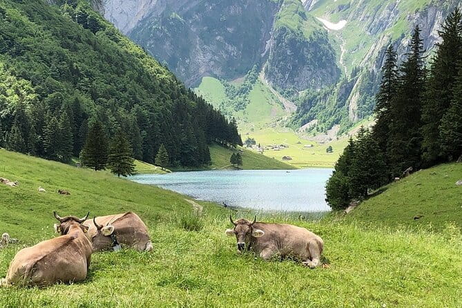 Appenzell, Laderach, Liechtenstein & Vaduz Day Trip from Zürich - Why This Tour Works Well