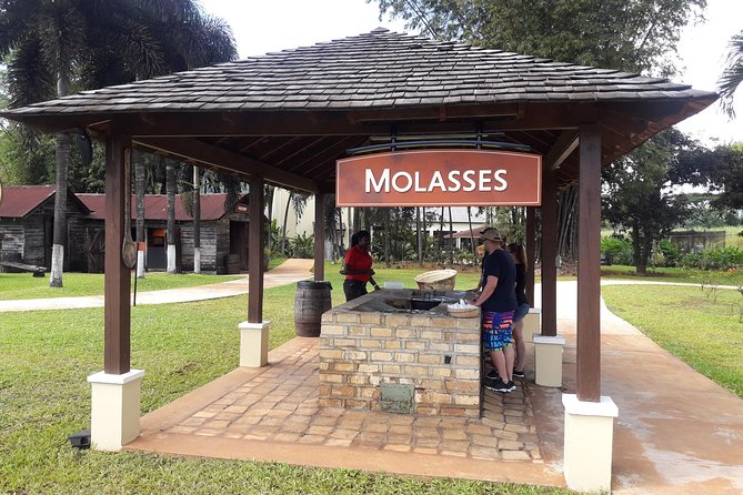 Appleton Estate Rum and Pelican Bar Private Tour From Montego Bay - Pricing and Reviews