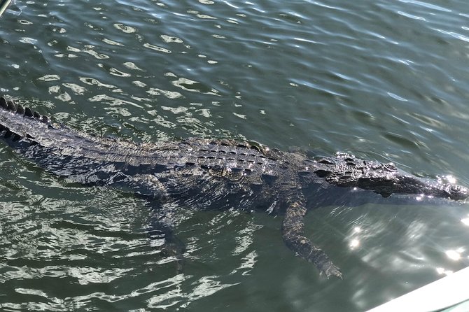 Appleton Rum Factory, Ys Falls, Black River Safari, Floyd's Pelican Bar - Relaxing at Floyds Pelican Bar