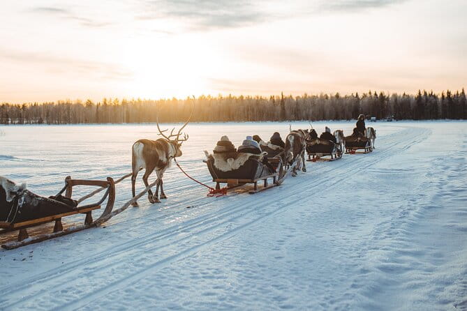 Apukka Reindeer Journey - A Detailed Look at the Apukka Reindeer Journey