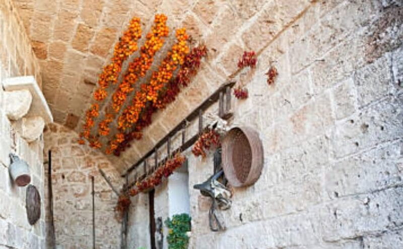 Apulia: Guided Vineyard Tour with Wine Tasting - Entering the Valle dItria: A Feast for the Senses