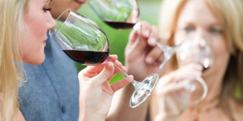 Apulia: Guided Vineyard Tour with Wine Tasting - Price and Logistics: Is It Worth It?