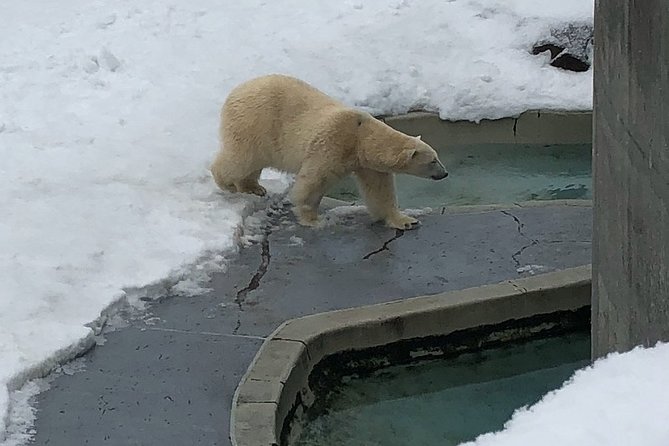 Aquarium Du Quebec: a Playground Overflowing With Life! - Feeding Demonstrations and Trainings