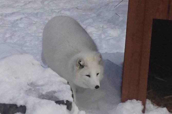 Aquarium Du Quebec: a Playground Overflowing With Life! - Year-Round Family Fun